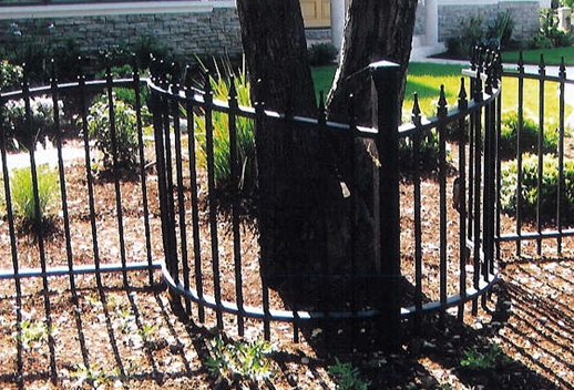Wrought Iron Fence Berkeley